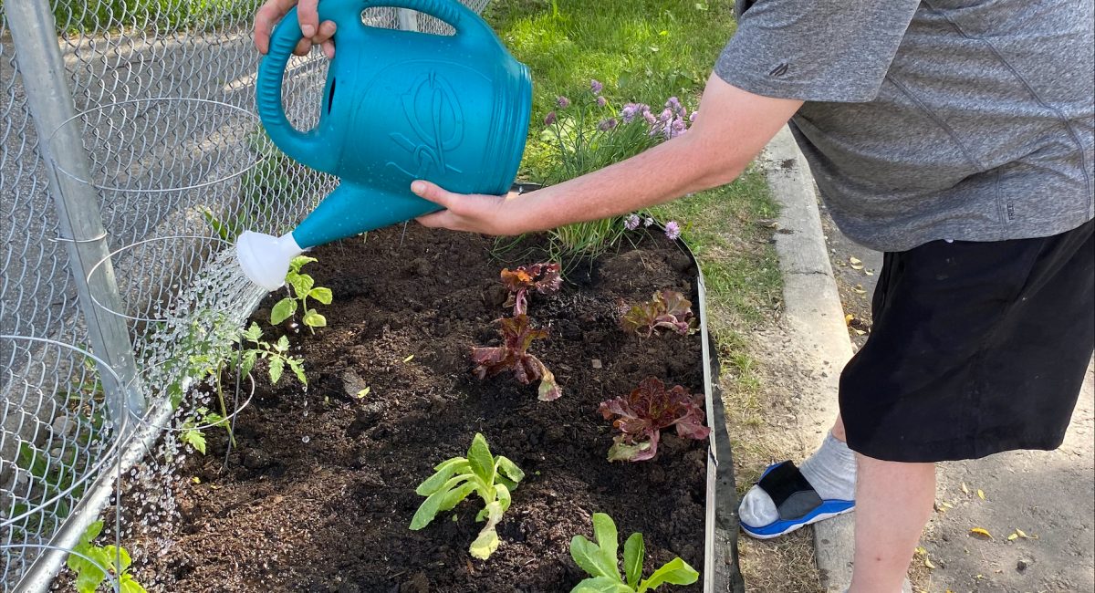 Processed 56863c29 8960 43c0 9bfd 38e18cdc2143